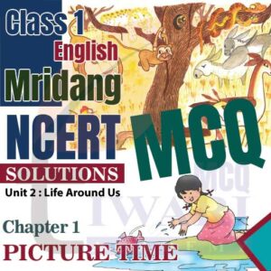 NCERT MCQ Solutions for Class 1 English Mridang Unit 2 Chapter 1 Picture Time