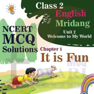NCERT MCQ Solutions for Class 2 English Mridang Unit 2 Chapter 1 It is Fun